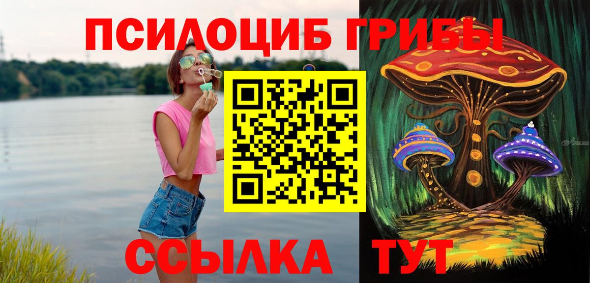 Елизово  Псилоцибиновые грибы Psilocybine cubensis  Вход с VPN 